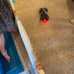 F1 Gesture Sensing RC Stunt Car Toys